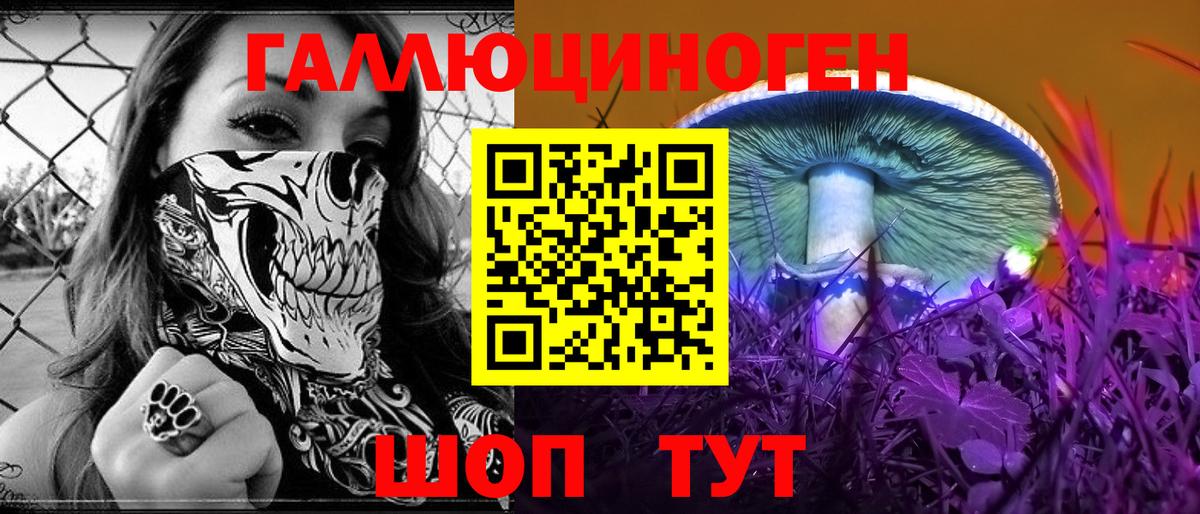 Псилоцибиновые грибы Magic Shrooms  Вход с VPN  закладка  Электрогорск 